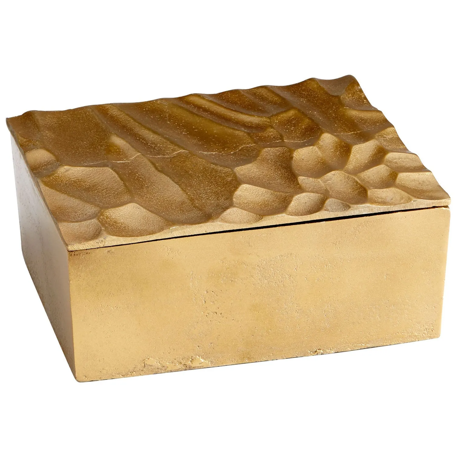 Cyan Design 10089 Oxford Container - Brass