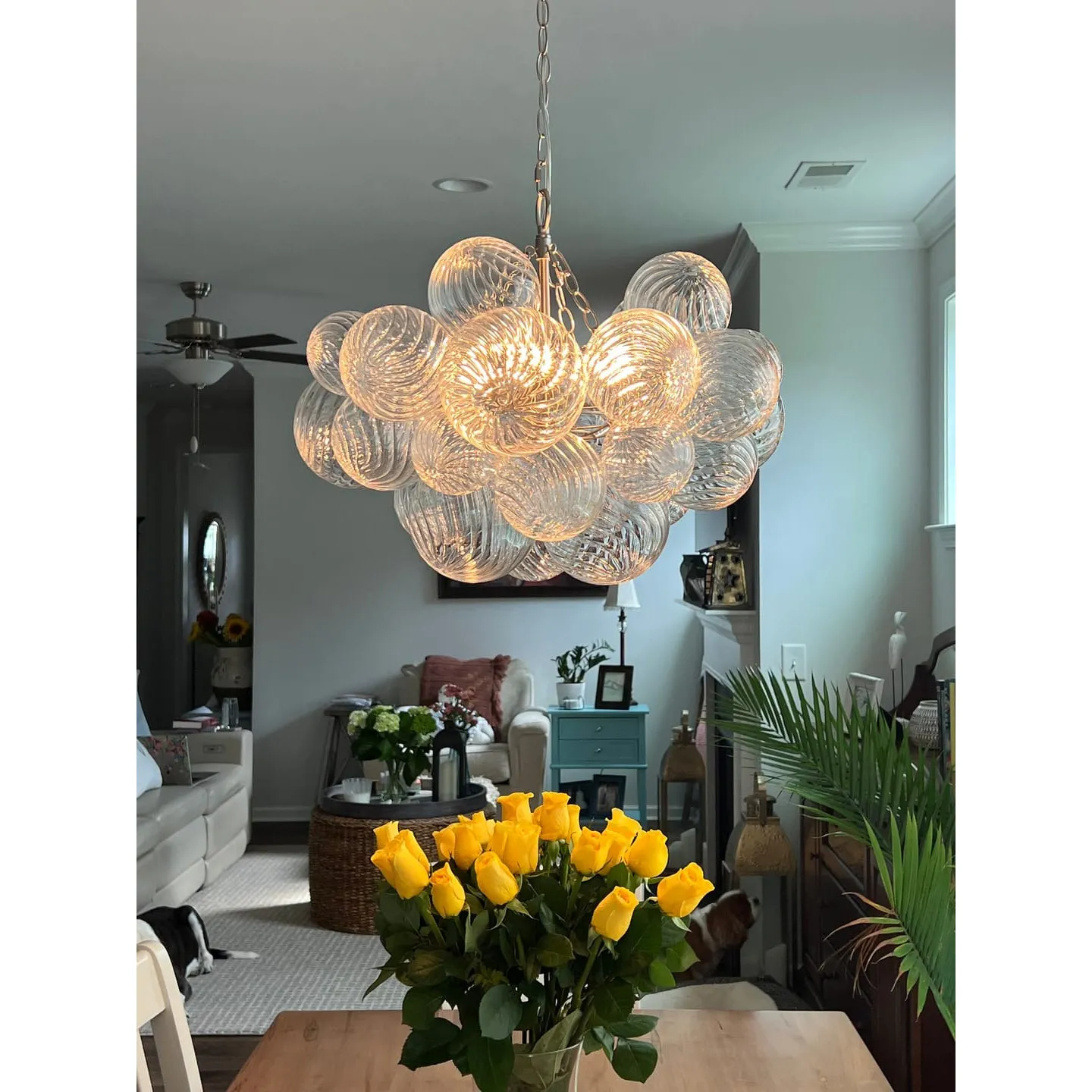 Glass Ball Bubbles Chandelier