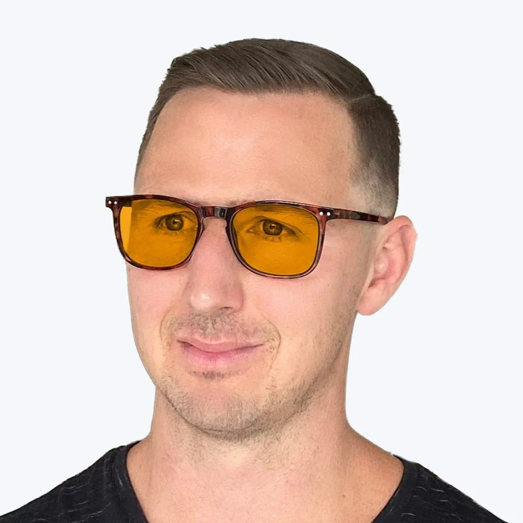 SunDown Taylor Blue Blocking Glasses - Tortoise - Readers