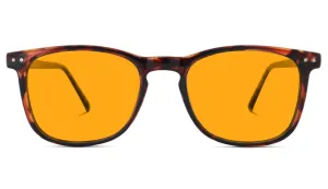 SunDown Taylor Blue Blocking Glasses - Tortoise - Readers