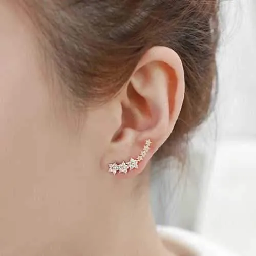 Trendy 925 Silver Needle Star Inlay Zircon Crystal Stud Earrings Jewelry for Women